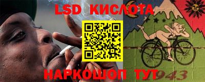 шишки Камышлов