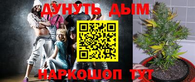 каннабис Кандалакша