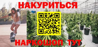 гидра Кингисепп