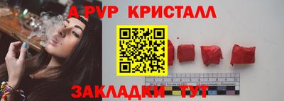 шишки Камышлов